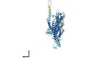 AlphaFold protein structure predicition of Human Recombinant ATP6V0A4 Protein, UniprotID Q9HBG4