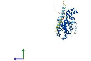 AlphaFold protein structure predicition of Human Recombinant GIMAP1 Protein, UniprotID Q8WWP7