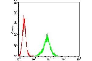 Flow cytometric analysis of Hela cells using ACTH mouse mAb (green) and negative control (red). (ACTH anticorps)