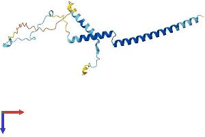 AlphaFold protein structure predicition of Human Recombinant PDAP1 Protein, UniprotID Q13442
