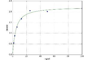 Aquaporin 2 (Collecting Duct) (AQP2) ELISA Kit