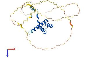 AlphaFold protein structure predicition of Mouse Recombinant Hoxc9 Protein, UniprotID P09633