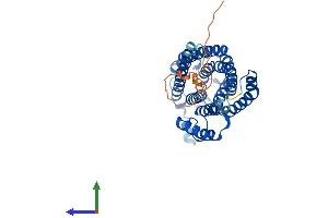 AlphaFold protein structure predicition of Human Recombinant CERS6 Protein, UniprotID Q6ZMG9