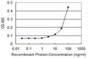 Detection limit for recombinant GST tagged GSTT1 is 3 ng/ml as a capture antibody. (GSTT1 anticorps  (AA 1-240))