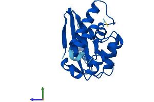 AlphaFold protein structure predicition of Human Recombinant TPRKB Protein, UniprotID Q9Y3C4