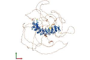 AlphaFold protein structure predicition of Human Recombinant PUM2 Protein, UniprotID Q8TB72