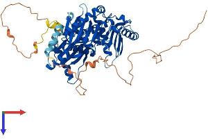 AlphaFold protein structure predicition of Mouse Recombinant Mon1a Protein, UniprotID Q6PDG8