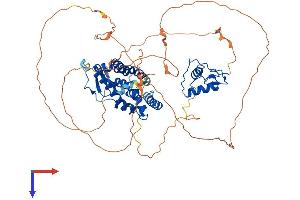 AlphaFold protein structure predicition of Human Recombinant NR4A3 Protein, UniprotID Q92570