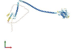 AlphaFold protein structure predicition of Human Recombinant BECN1 Protein, UniprotID Q14457