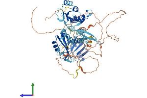 AlphaFold protein structure predicition of Mouse Recombinant A1cf Protein, UniprotID Q5YD48
