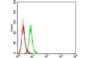 Flow cytometric analysis of HeLa cells using SALL4 mouse mAb (green) and negative control (red).