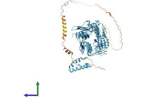 AlphaFold protein structure predicition of Human Recombinant ZNF569 Protein, UniprotID Q5MCW4