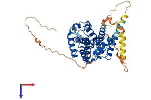 AlphaFold protein structure predicition of Mouse Recombinant Ccnjl Protein, UniprotID Q5SRT8