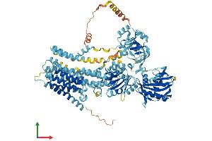 AlphaFold protein structure predicition of Human Recombinant ATP2C2 Protein, UniprotID O75185