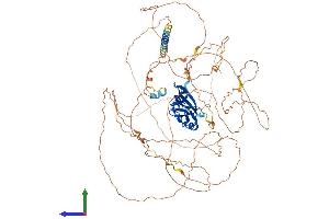 AlphaFold protein structure predicition of Human Recombinant ATXN1 Protein, UniprotID P54253