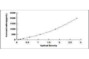 Typical standard curve (WNT7A Kit ELISA)
