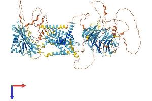 SREBF chaperone (SCAP) (AA 1-1276) protein (His tag)