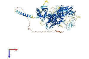 AlphaFold protein structure predicition of Human Recombinant TMPRSS7 Protein, UniprotID Q7RTY8