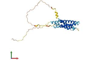 AlphaFold protein structure predicition of Human Recombinant MS4A15 Protein, UniprotID Q8N5U1