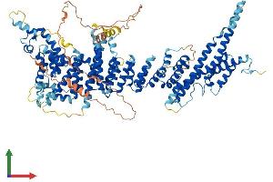 AlphaFold protein structure predicition of Human Recombinant NUP107 Protein, UniprotID P57740
