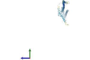 AlphaFold protein structure predicition of Human Recombinant LZTFL1 Protein, UniprotID Q9NQ48