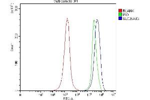 Flow Cytometry analysis of JK cells using anti-Citrin/SLC25A13 antibody (ABIN7599512). (slc25a13 anticorps  (AA 1-643))