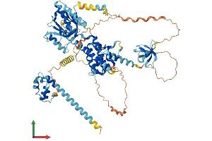 AlphaFold protein structure predicition of Human Recombinant EPS8L1 Protein, UniprotID Q8TE68
