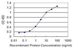 Detection limit for recombinant GST tagged TNFRSF25 is 0. (DR3/LARD anticorps  (AA 28-124))