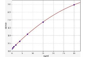 Typical standard curve (LAPTM4B Kit ELISA)