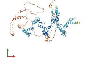 AlphaFold protein structure predicition of Human Recombinant ZNF527 Protein, UniprotID Q8NB42