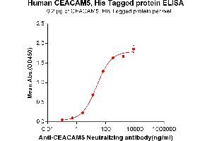 ELISA plate pre-coated by 2 μg/mL (100 μL/well) Human CEACAM5, His tagged protein (ABIN6961129) can bind Anti-CEACAM5 Antibody in a linear range of 2.