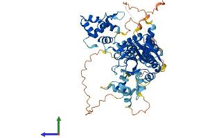 AlphaFold protein structure predicition of Mouse Recombinant Mus81 Protein, UniprotID Q91ZJ0