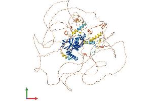 AlphaFold protein structure predicition of Mouse Recombinant Otud4 Protein, UniprotID B2RRE7