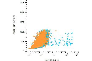 anti-rho Guanine Nucleotide Exchange Factor (GEF) 4 (ARHGEF4) (AA 143-271) antibody (PE)