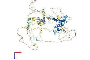 AlphaFold protein structure predicition of Human Recombinant NCAPH Protein, UniprotID Q15003