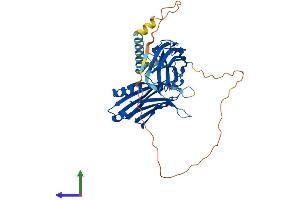 AlphaFold protein structure predicition of Human Recombinant SYT7 Protein, UniprotID O43581