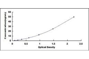 Typical standard curve (FKBP1B Kit ELISA)