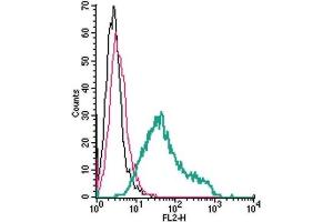 Cell surface detection of TREM2 by direct flow cytometry in live intact mouse BV-2 microglia cells: (black line) Cells.
