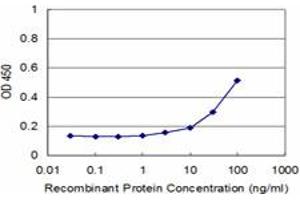 anti-Myogenic Factor 6 (MYF6) (AA 1-99) antibody