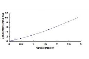 Typical standard curve (CLMP Kit ELISA)