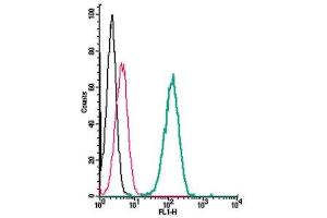 Cell surface detection of TrkA by indirect flow cytometry in live intact human  monocytic leukemia cells: + goat-anti-rabbit-FITC.