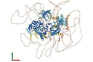 AlphaFold protein structure predicition of Mouse Recombinant Plch2 Protein, UniprotID A2AP18