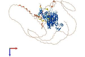 AlphaFold protein structure predicition of Mouse Recombinant Ppm1e Protein, UniprotID Q80TL0