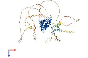 AlphaFold protein structure predicition of Mouse Recombinant Aire Protein, UniprotID Q9Z0E3