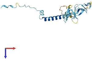 SIVA1, Apoptosis-Inducing Factor (SIVA1) (AA 1-175) protein (His tag)
