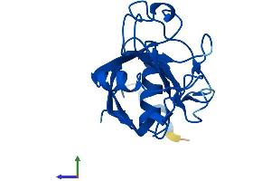 AlphaFold protein structure predicition of Human Recombinant PPIL1 Protein, UniprotID Q9Y3C6