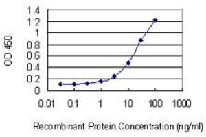 Detection limit for recombinant GST tagged CCNT2 is 0. (Cyclin T2 anticorps  (AA 264-370))