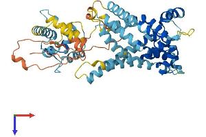 AlphaFold protein structure predicition of Human Recombinant SLC25A25 Protein, UniprotID Q6KCM7