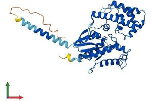 AlphaFold protein structure predicition of Human Recombinant GNA12 Protein, UniprotID Q03113 (GNA12 Protein (AA 1-381) (His tag))