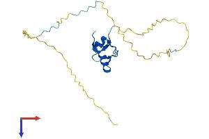 AlphaFold protein structure predicition of Mouse Recombinant Rnf4 Protein, UniprotID Q9QZS2